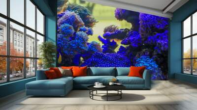 Blue Coral reefs anemone in the aquarium Wall mural