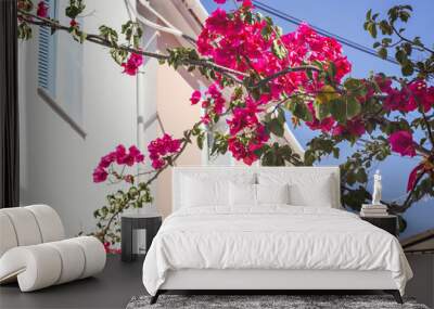 Details of pink flowers against traditional greek houses in background Wall mural