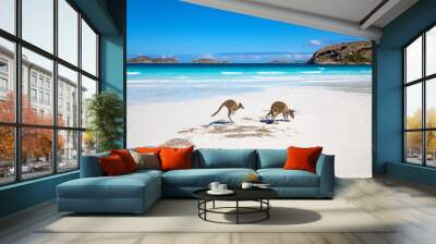 Kangaroo family on the beach of Lucky bay, Esperance, Western Australia Wall mural