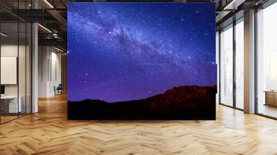 Milky way starry night sky in Mauna Kea Hawaii  Wall mural