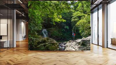 BEAUTIFUL LANDSCAPE PHOTOGRAPHY OF TOURISTS RELAX AND WARKING IN BACH MA NATIONAL PARK, HUE, VIETNAM Wall mural