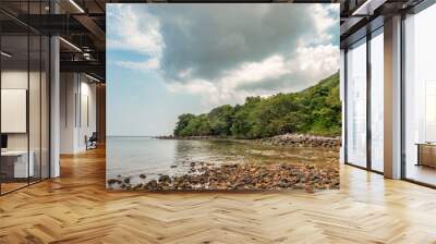 Mr Cau beach or Bai Ong Cau and mangroves on Con Dao island, Ba Ria Vung Tau, Vietnam Wall mural