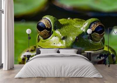 A green frog sitting on a water lily pad, frog's eyes and vibrant green color in sharp focus Wall mural