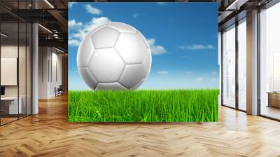 Conceptual soccer ball in grass Wall mural