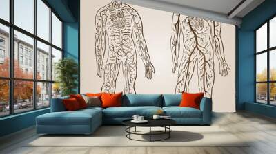 high resolution vintage anatomy sketch drawing Wall mural