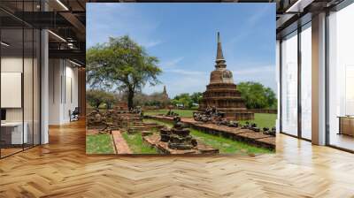 Ayutthaya Wall mural