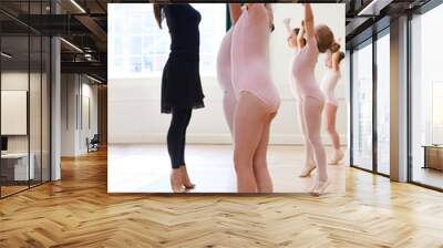 Group Of Young Girls With Teacher In Ballet Dancing Class Wall mural