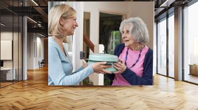 Woman Bringing Meal For Elderly Neighbour Wall mural