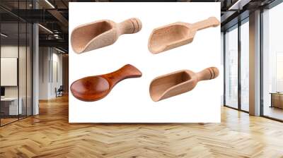 png Isolated wooden condiment tea scoops collage Wall mural