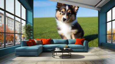 Sheltie Puppy Portrait in Serene Outdoor Setting Wall mural