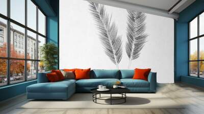 Two bird feather Wall mural