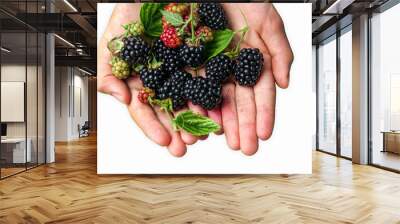 blackberries Wall mural