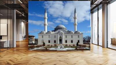 Diyanet center Mosque in Maryland, Virginia. Wall mural