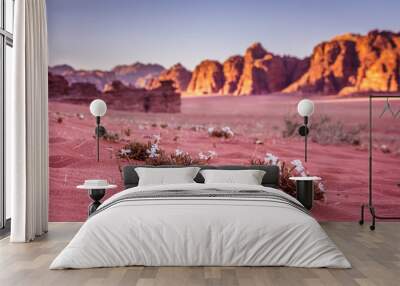 spring wadi rum desert - valley of the moon in jordan. unesco wo Wall mural