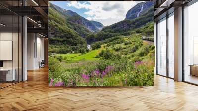 View from the most beautiful train journey Flamsbana between Flam and Myrdal in Aurland in Western Norway Wall mural