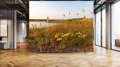 Wadi along the dunes near Formerum at Wadden island Terschelling in Friesland province in The Netherlands Wall mural