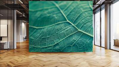 A closeup of the veins on a green leaf, symbolizing ecofriendly and sustainable practices Wall mural