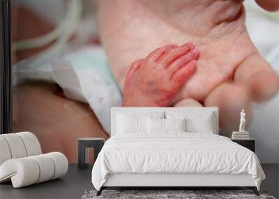 Newborn neonatal infant pulse oximeter premature Wall mural