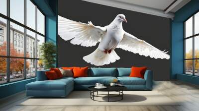 White dove flying isolated on black background and Clipping path, freedom on international day of peace concept, background, international day of peace,space text, wallpaper, Ai generated  Wall mural