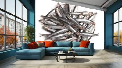 anchovies Wall mural