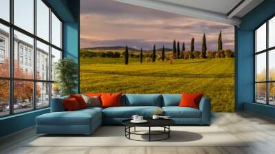 Panorama of Tuscan landscape Wall mural