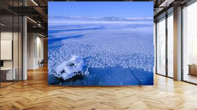 Frosted flower over frozen lake Wall mural