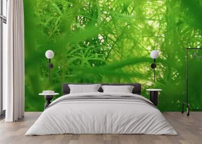 Inside of Grass Wall mural