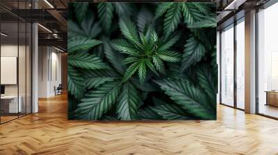 Dark and Dank: Marijuana Leaves and Cannabis on a Mysterious Background Wall mural