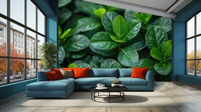 Vibrant Green Foliage in Serene Garden Setting Wall mural