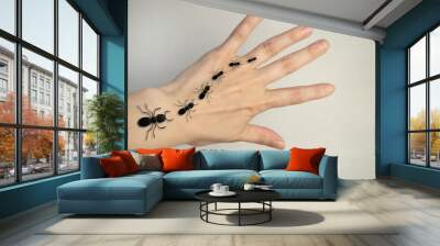 Ants crawl on the hand. Ant path. Wall mural