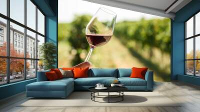 Man hand holding glass of red wine in vineyard field. Wine tasting in outdoor winery restaurant travel tour. Wall mural