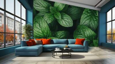 Mint green leaves pattern background Wall mural