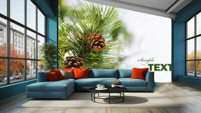 Pine tree Wall mural