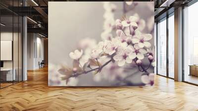 Spring Blossom Wall mural