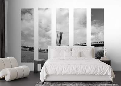 New York(monochrome） Wall mural