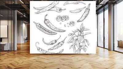 Hand drawn chili peppers. Set sketches with chili peppers on a branch with leaves and flower, whole and cut in half. Vector illustration isolated on white background. Wall mural