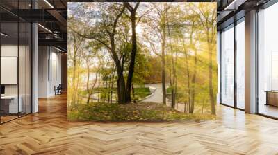 Beautiful autumn forest or park hdri panorama with bright sun shining through the trees. scenic landscape with pleasant warm sunshine Wall mural