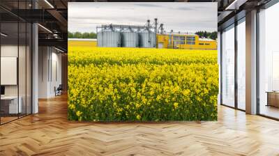 Field of flower of rapeseed, canola colza in Brassica napus on agro-processing plant for processing and silver silos for drying cleaning and storage of agricultural products, flour, cereals and grain Wall mural