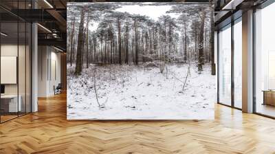 Winter full spherical hdri panorama 360 degrees angle view road in a snowy pinery forest with gray pale sky in equirectangular projection. VR AR content Wall mural