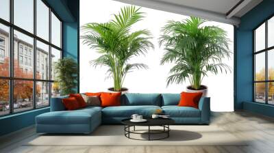 Tropical house parlor parlm plant in modern pot or vase isolated on transparent background generative ai Wall mural