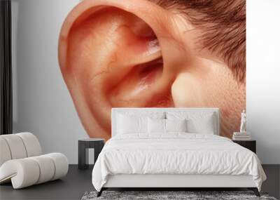 A Close-Up Of A Human Ear Isolated On A White Background Wall mural