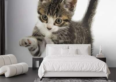 A Playful Kitten Pounces Into Action, Illustrations Images Wall mural