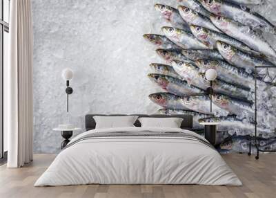 Raw sardine on ice offered as top view with copy space right Wall mural