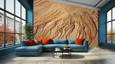 Western Australia – nature art structures at a sandy beach at low tide with water channels as top view in the morning sun Wall mural