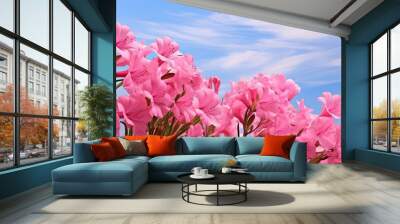 A beautiful garden filled with blooming pink oleander flowers also known as nerium against a bright blue sky The scene provides a lovely background for adding text and images making it a perfect natu Wall mural