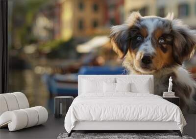 A charming Australian Shepherd puppy with a blue merle coat poses in a picturesque small harbor setting creating a delightful copy space image Wall mural