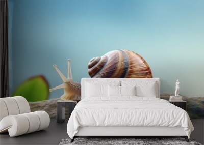 A snail in isolated pastel background Copy space on a black surface Wall mural