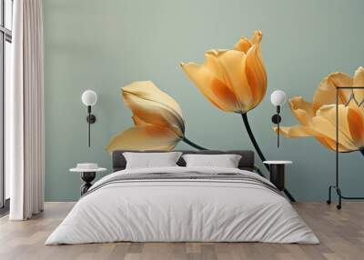 A wilted petal adorns two yellow orange tulip flowers against a minimal pastel gray beige backdrop with copy space creating a botany inspired creative wallpaper and capturing the beauty of nature Wall mural