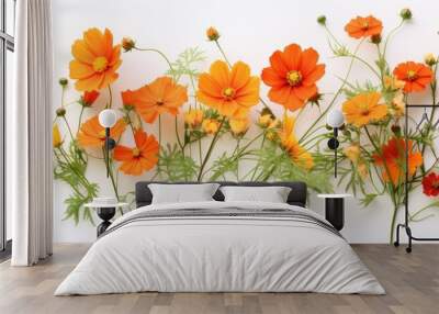 Asias local flora arranged in a postcard style flat lay with vibrant orange cosmos flowers on a isolated pastel background Copy space Wall mural