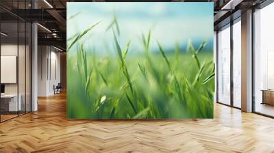 Blurred abstract background of Rice ears in a green field blurred by the natural wind a farmer s farming profession. Creative banner. Copyspace image Wall mural